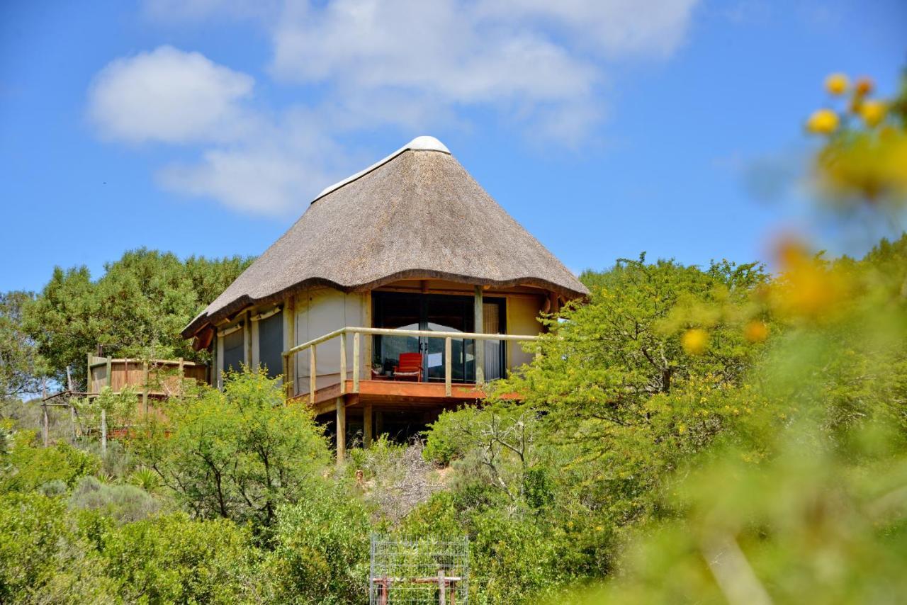 Отель Garden Route Safari Camp Моссел-Бей Экстерьер фото