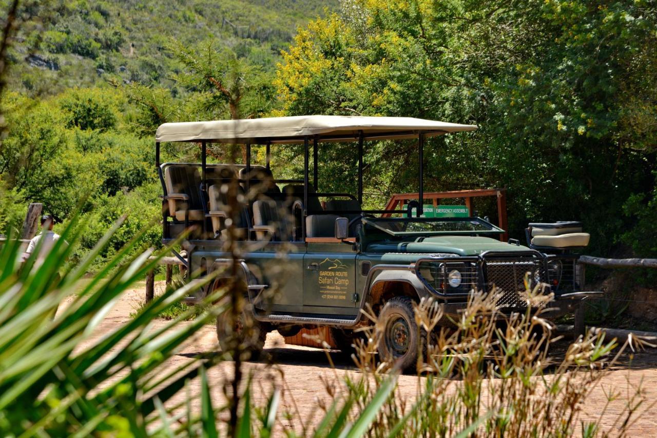 Отель Garden Route Safari Camp Моссел-Бей Экстерьер фото