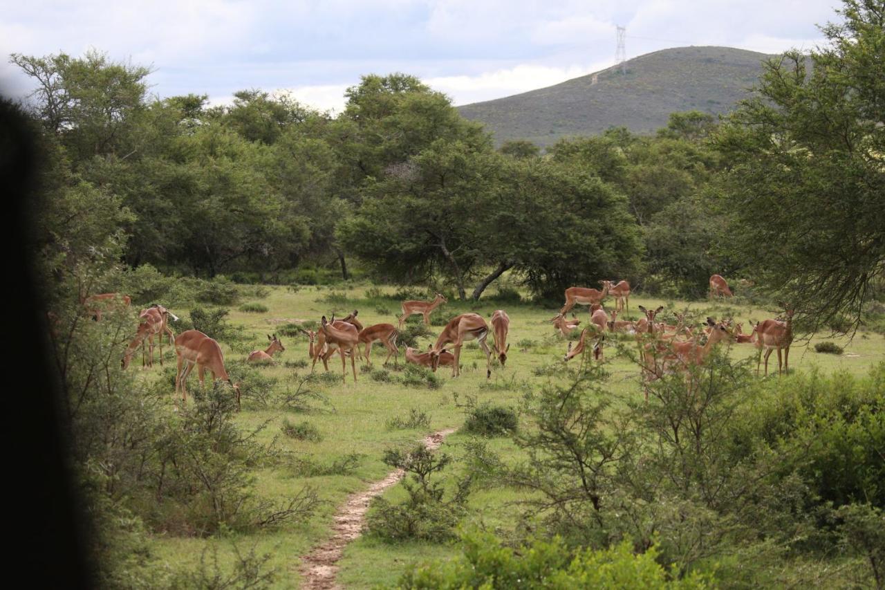 Отель Garden Route Safari Camp Моссел-Бей Экстерьер фото