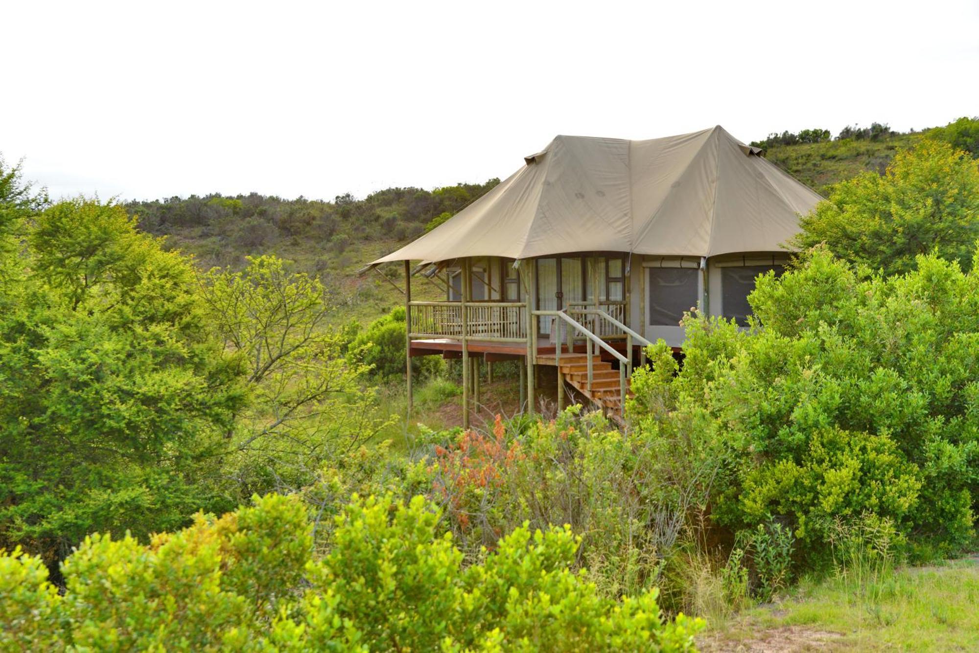 Отель Garden Route Safari Camp Моссел-Бей Экстерьер фото